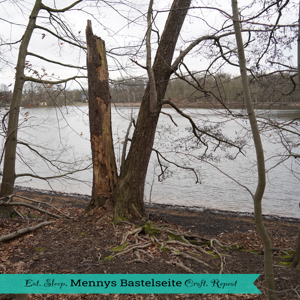 Schnatterecke - Menny Privat