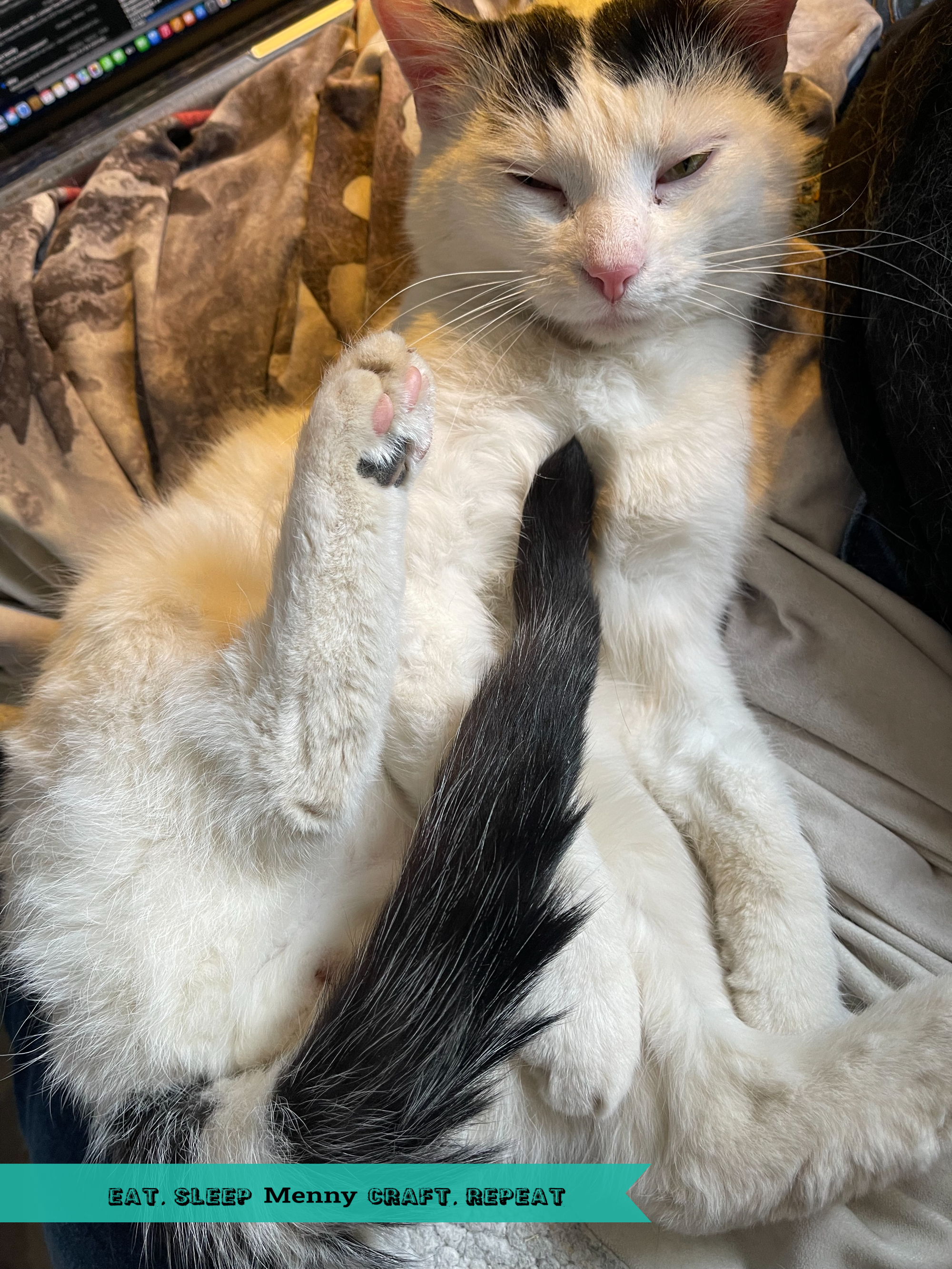 Simba